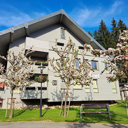 Resident Harrachov Family Apartment Luaran gambar